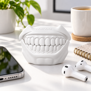 Earbud Case / 98 — everyday setting